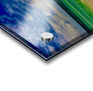 Emerald Coast 1 Acrylic print