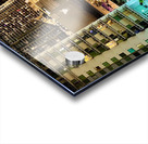 Miami Rooftop Blackbird 1 Acrylic print