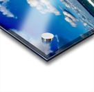 Hollywood Beach 1 Acrylic print