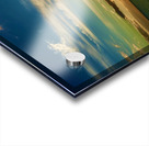 Siesta Key Sunset 1 Acrylic print