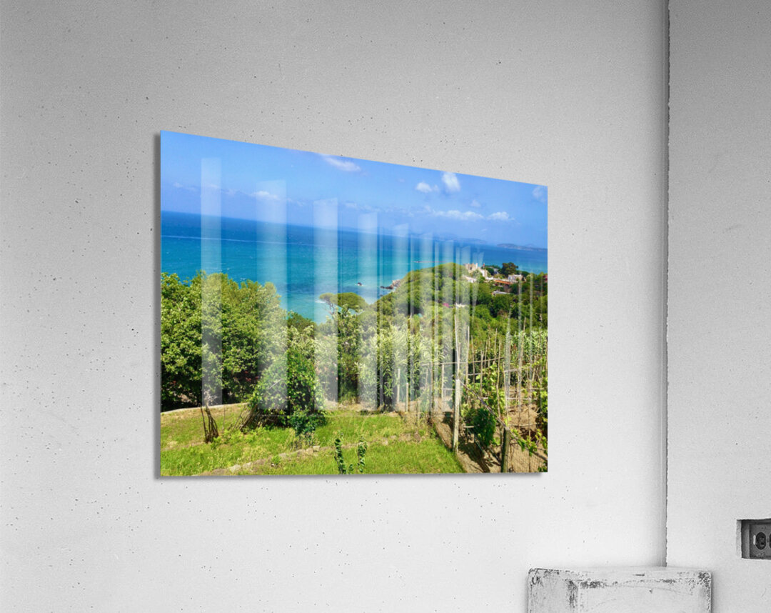 Ischia 6 Acrylic Print