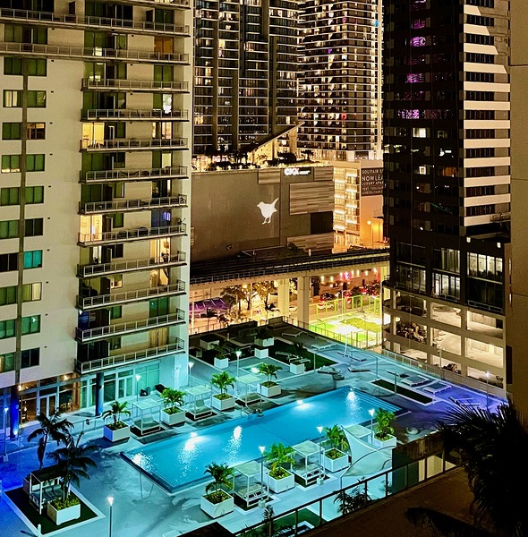 Miami Rooftop Blackbird 1 Print