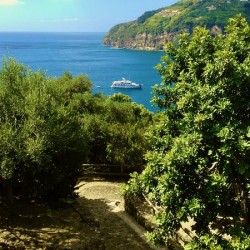 Ischia 8