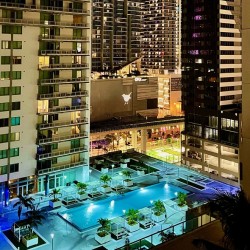 Miami Rooftop Blackbird 1