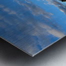 Water Taxi view Fort Lauderdale 1 Metal print