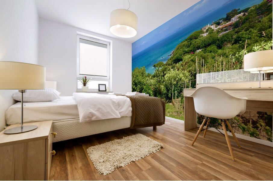 Ischia 6 Mural print