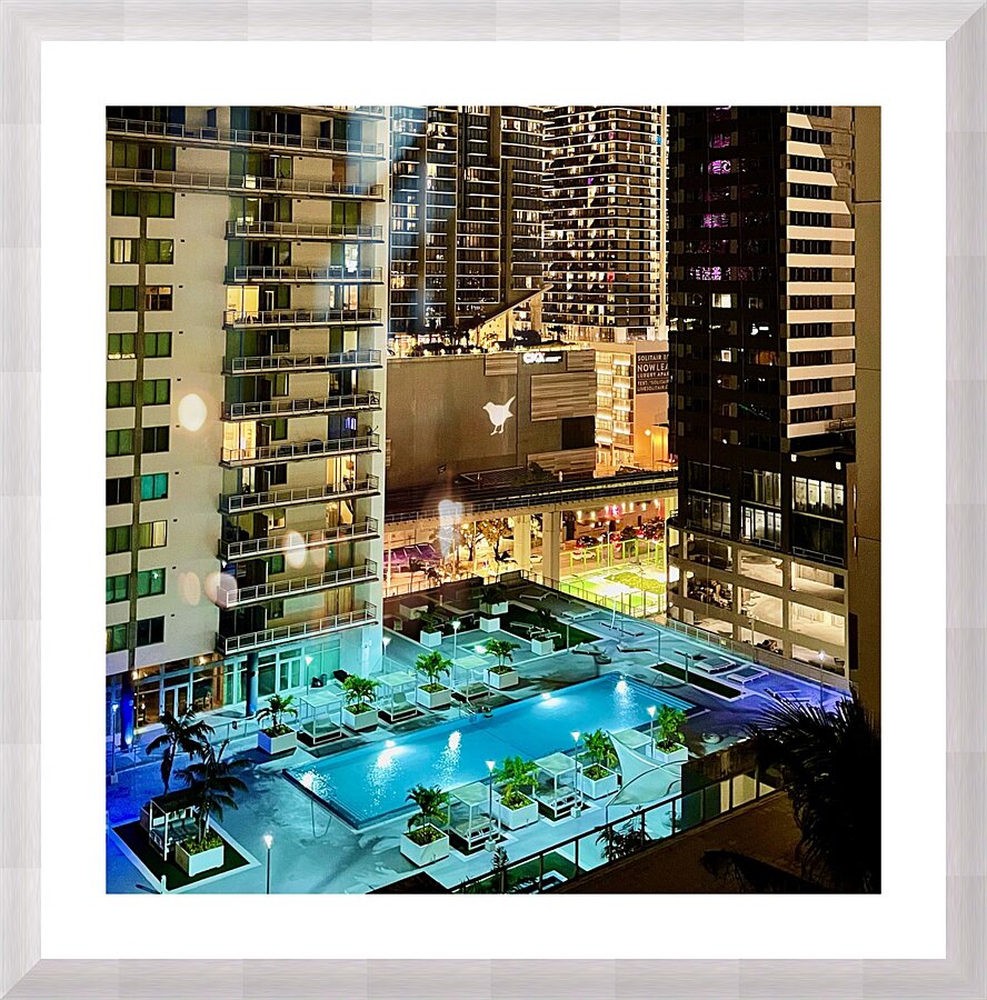 Miami Rooftop Blackbird 1 Picture Frame print