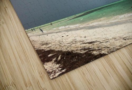 Bahia Honda Storm 1 vivajamz puzzle