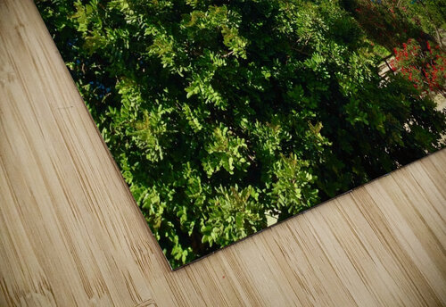 Ischia 4 vivajamz puzzle