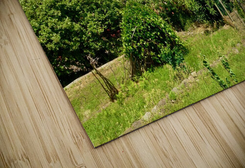 Ischia 6 vivajamz puzzle