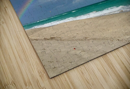Dania Beach Rainbow 1 vivajamz puzzle
