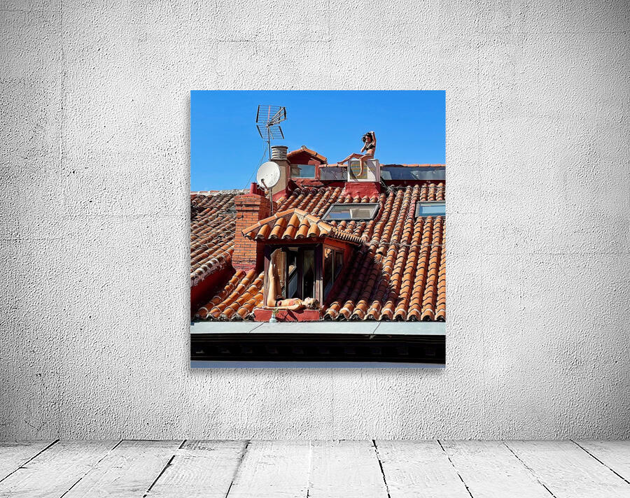 Madrid Sun Bunnies 1 Wall Preview