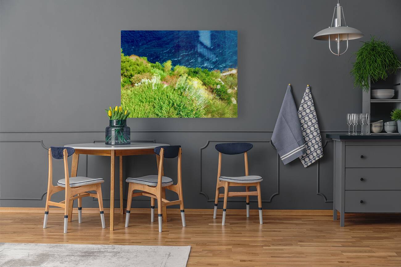 Ischia 5 Reproduction