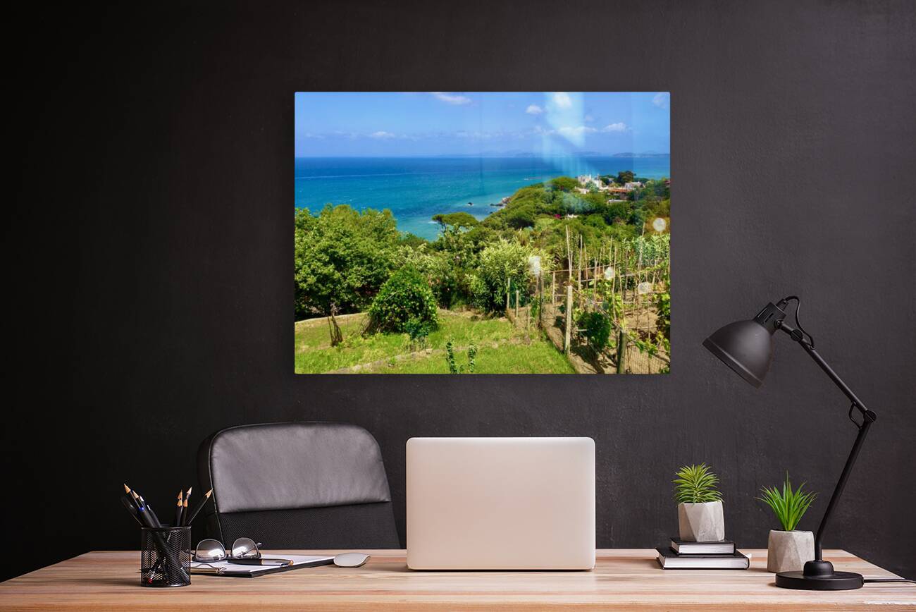 Ischia 6 Reproduction