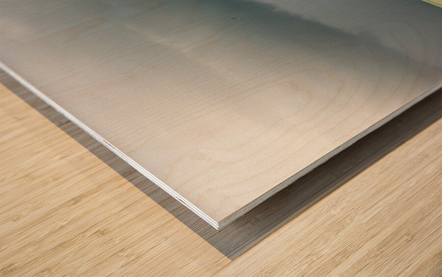 Bahia Honda Storm 1 Wood print