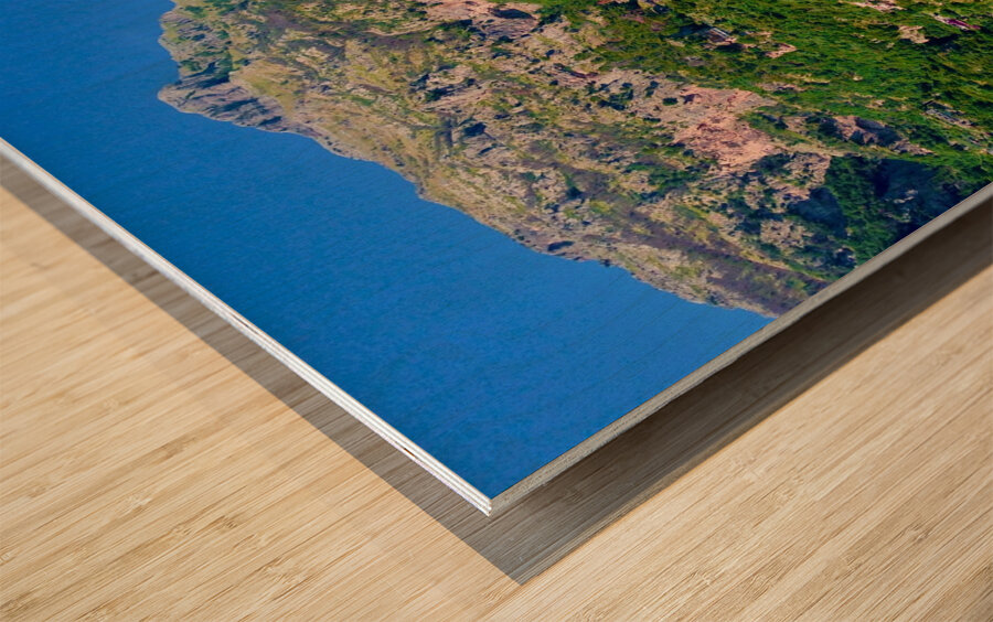 Positano 4 Wood print