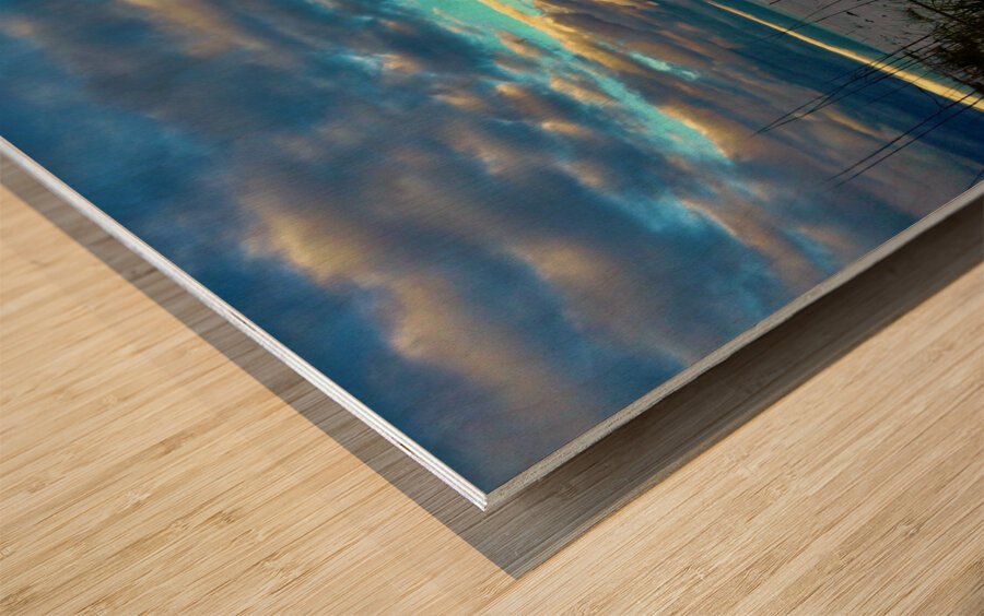 Santa Rosa Beach 1 Wood print