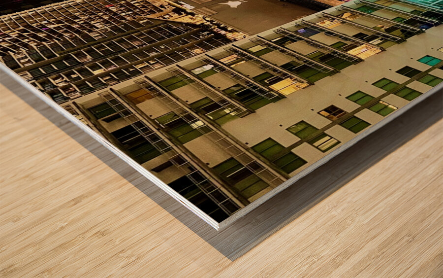 Miami Rooftop Blackbird 1 Wood print