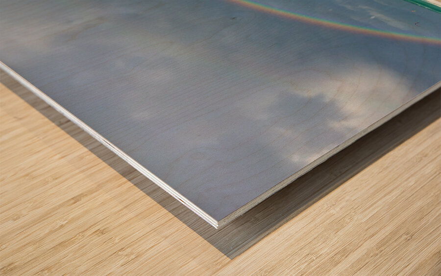 Dania Beach Rainbow 1 Wood print
