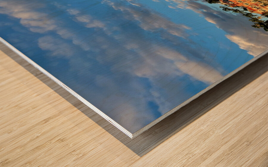 Water Taxi view Fort Lauderdale 1 Wood print