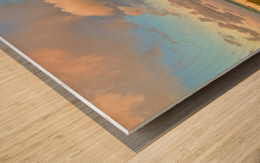 Miami South Beach SoFi 1 Wood print