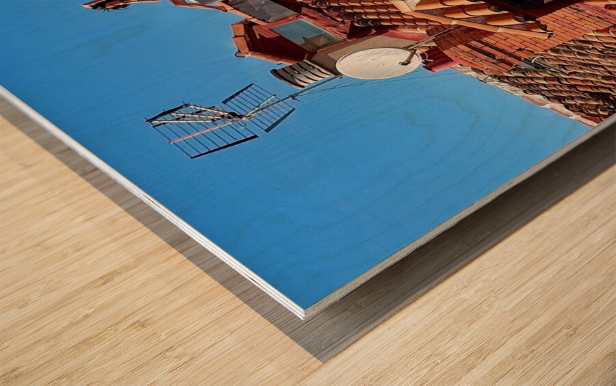 Madrid Sun Bunnies 1 Wood print